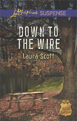 Title details for Down to the Wire by Laura Scott - Wait list